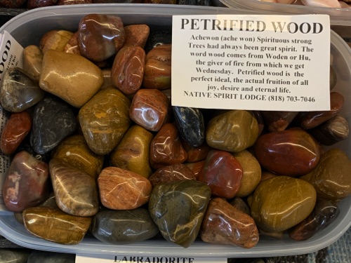 Petrified Wood Petrified Wood